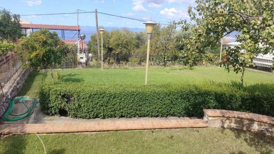 Geschnittene Hecke und Rasen mit Meerblick